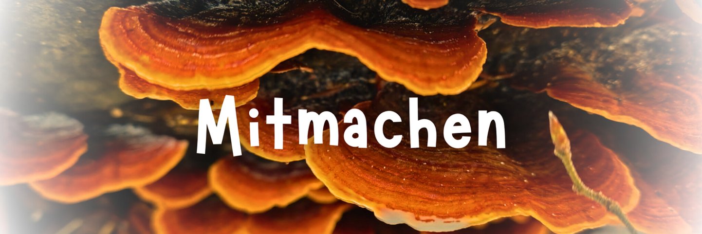 Banner- Baumspilze mit Schriftzug Mitmachen Banner- Baumspilze mit Schriftzug Mitmachen