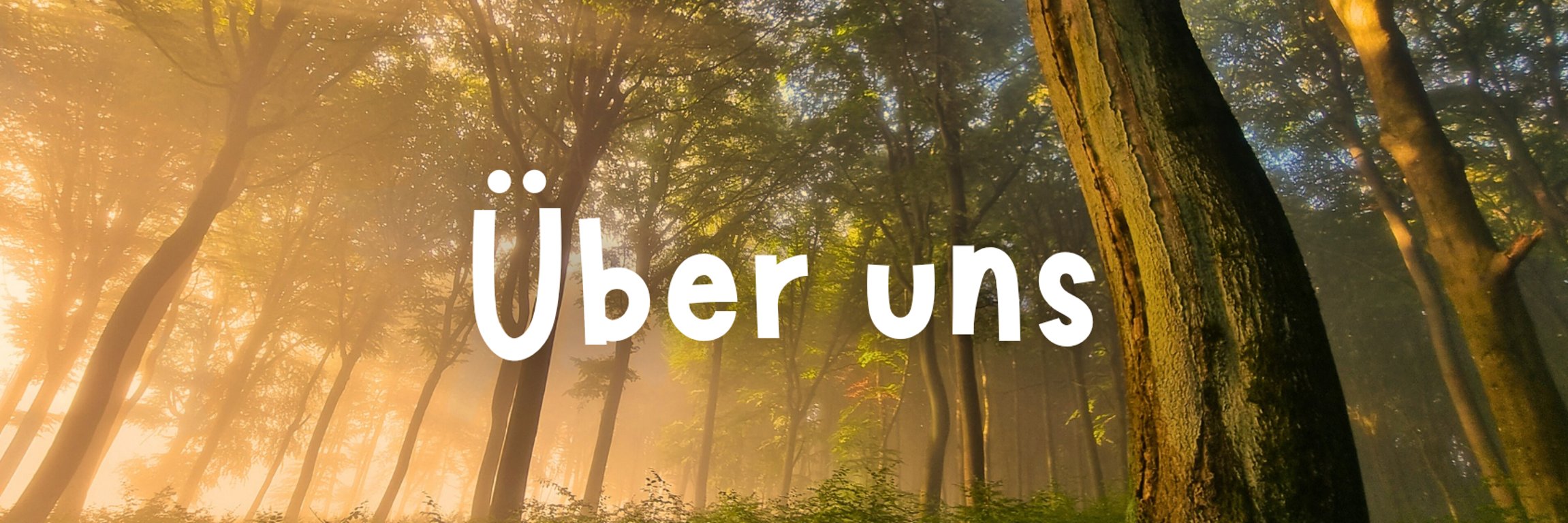 banner- buchenwald im nebel- ueber uns