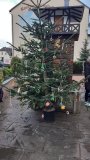 Geschmückter Weihnachtsbaum