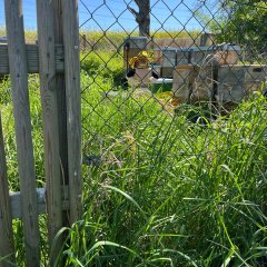 Kinder an Ablegerkisten Kinder an Ablegerkisten