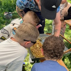 Kinder gucken sich eine Bienenwabe an Kinder gucken sich eine Bienenwabe an